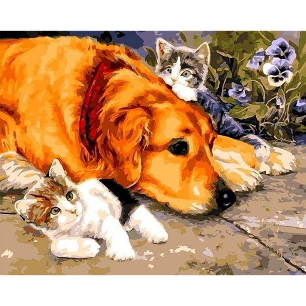 Paint by numbers - Cats and Dog – Figured'Art