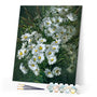 paint by numbers | White Daisy flowers | advanced flowers | FiguredArt