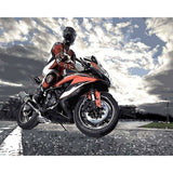 paint by numbers | Riding a motorcycle | cars and motos intermediate | FiguredArt
