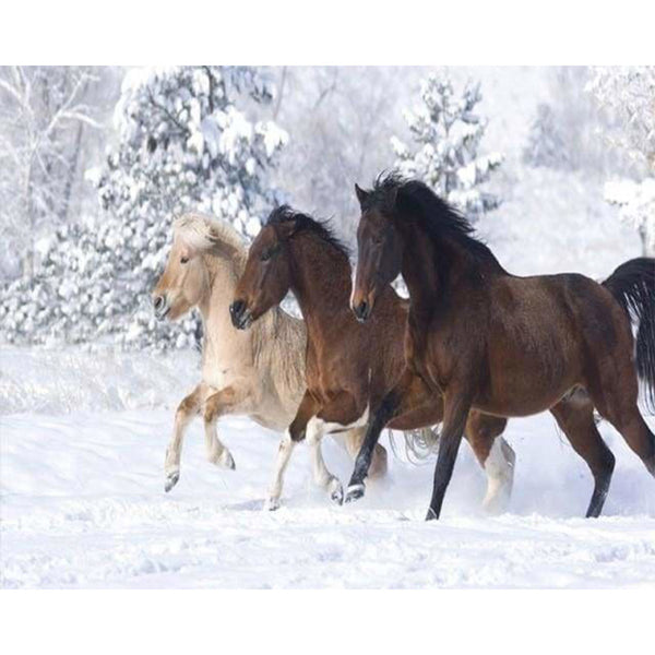 paint by numbers | Horses in the Winter snow | advanced animals horses | FiguredArt