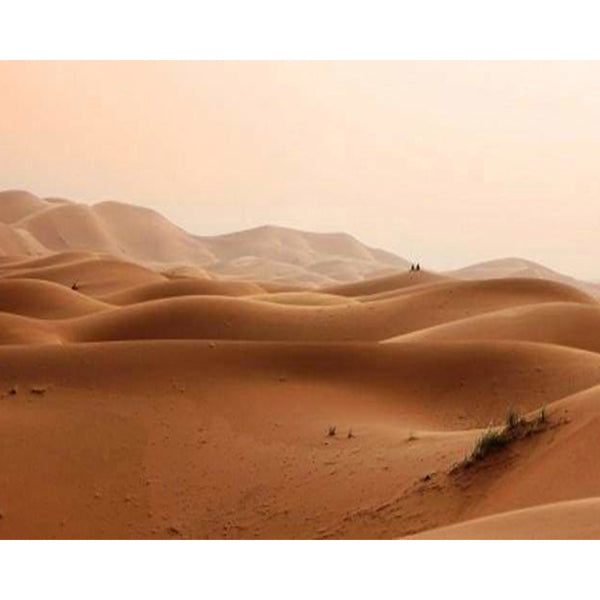 paint by numbers | In the desert | intermediate landscapes | FiguredArt