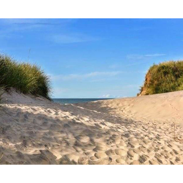 paint by numbers | Sand | intermediate landscapes | FiguredArt