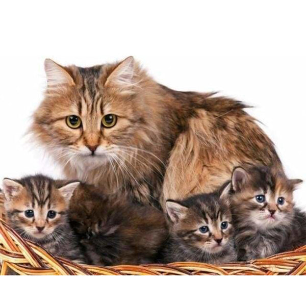 paint by numbers | Cat and kittens | advanced animals cats | FiguredArt