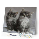 paint by numbers | Pretty cats | advanced animals cats | FiguredArt