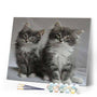 paint by numbers | Pretty cats | advanced animals cats | FiguredArt