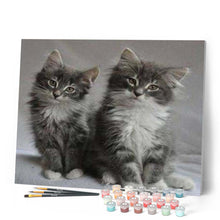 Load image into Gallery viewer, paint by numbers | Pretty cats | advanced animals cats | FiguredArt