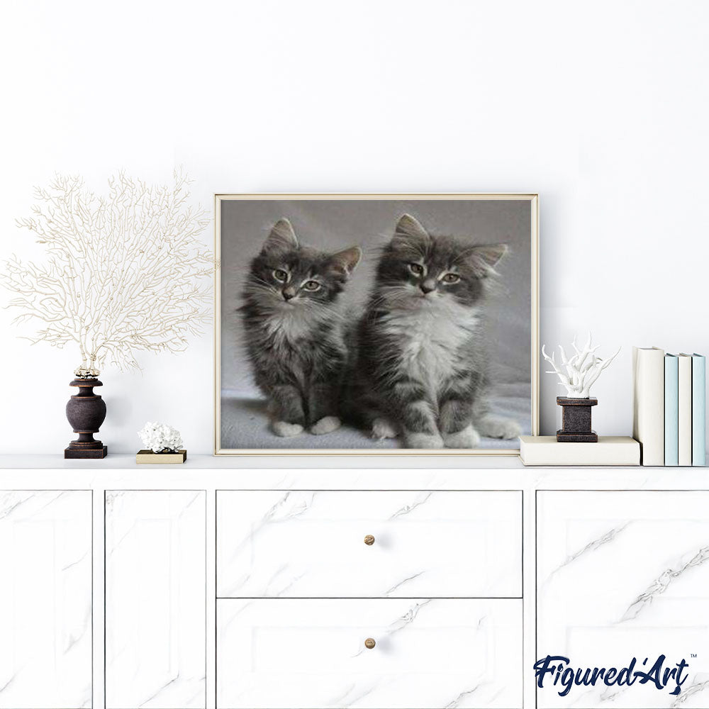 paint by numbers | Pretty cats | advanced animals cats | FiguredArt