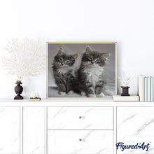 Load image into Gallery viewer, paint by numbers | Pretty cats | advanced animals cats | FiguredArt