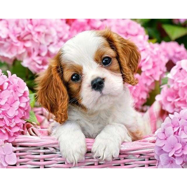 paint by numbers | Dog in the Flowery Cart | animals intermediate | FiguredArt