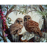 paint by numbers | Two Owls | advanced animals owls | FiguredArt