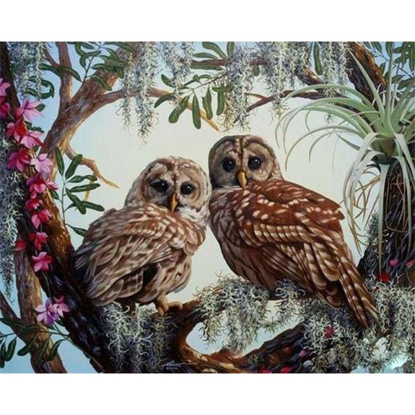 paint by numbers | Two Owls | advanced animals owls | FiguredArt