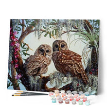 Load image into Gallery viewer, paint by numbers | Two Owls | advanced animals owls | FiguredArt