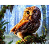 paint by numbers | Owl perched on a branch | advanced animals owls trees | FiguredArt