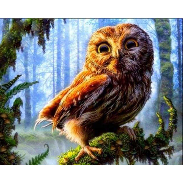 paint by numbers | Owl perched on a branch | advanced animals owls trees | FiguredArt