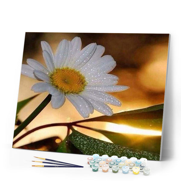 paint by numbers | Marguerite | easy flowers | FiguredArt