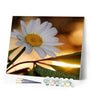 paint by numbers | Marguerite | easy flowers | FiguredArt