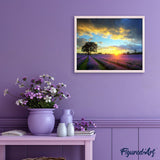 paint by numbers | Lilac Field And Sunset | advanced landscapes | FiguredArt