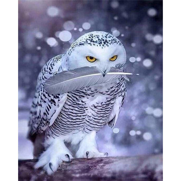 paint by numbers | White Owl | animals intermediate owls | FiguredArt