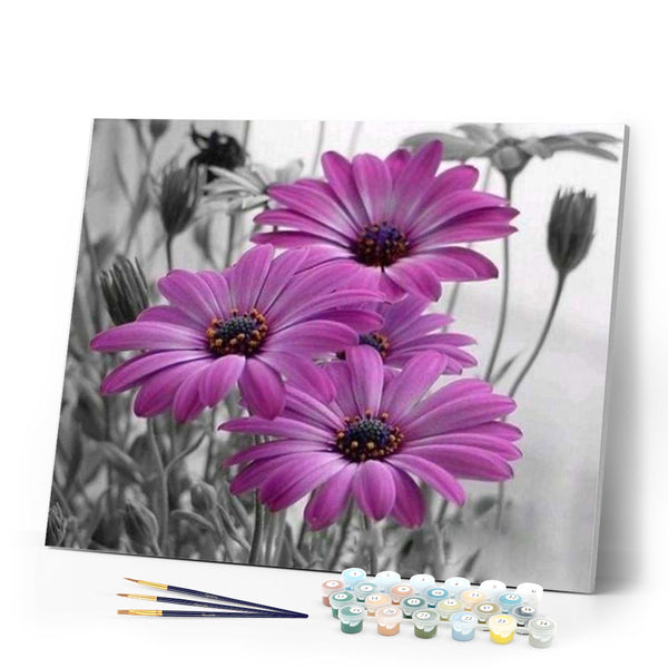 paint by numbers | Purple Marguerites | flowers intermediate | FiguredArt