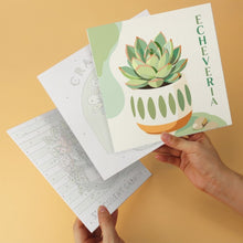 Load image into Gallery viewer, Mini Paint by Numbers Set 7.9"x7.9" (6 pieces) - Succulent Garden