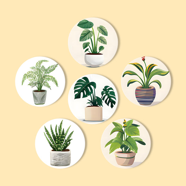 Paint by numbers 6" Coasters (6 pieces) - Monstera and Fern