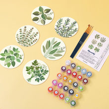 Load image into Gallery viewer, Paint by numbers 4" Coasters (6 pieces) - Aromatic herbs