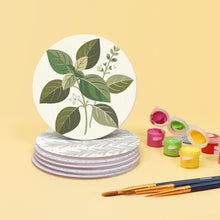 Load image into Gallery viewer, Paint by numbers 4" Coasters (6 pieces) - Aromatic herbs