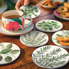 Load image into Gallery viewer, Paint by numbers 4" Coasters (6 pieces) - Aromatic herbs