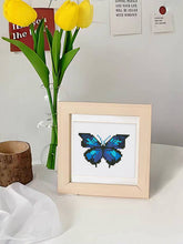 Load image into Gallery viewer, Gem Painting kit - Butterflies series