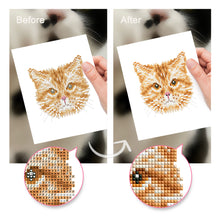 Load image into Gallery viewer, Mini Diamond Painting 6&quot;x8&quot; (4 pieces) - Feline Friends