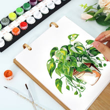 Load image into Gallery viewer, Paint by Numbers Calendar 2027 - Potted Plants
