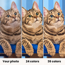 Load image into Gallery viewer, Custom Paint by Number