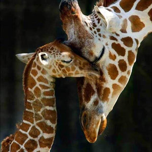 Diamond Painting - The Giraffe Family