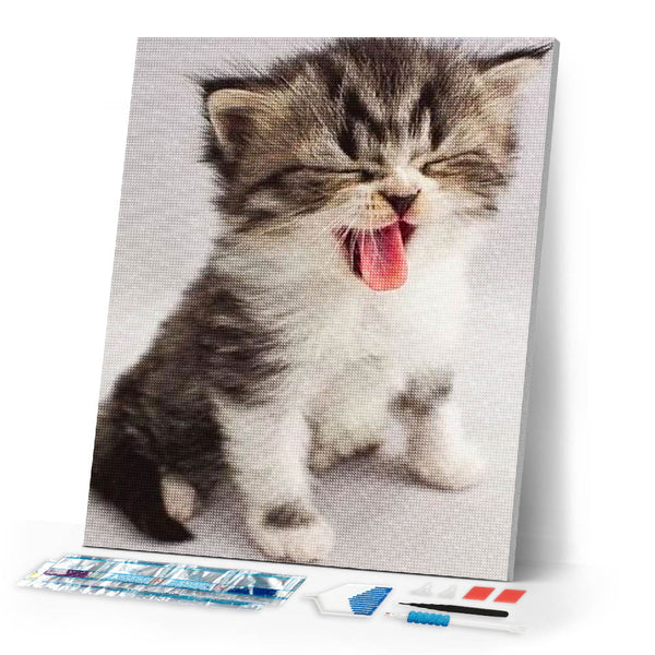 Diamond Painting | Diamond Painting - Cute Kitten | animals cats Diamond Painting Animals | FiguredArt