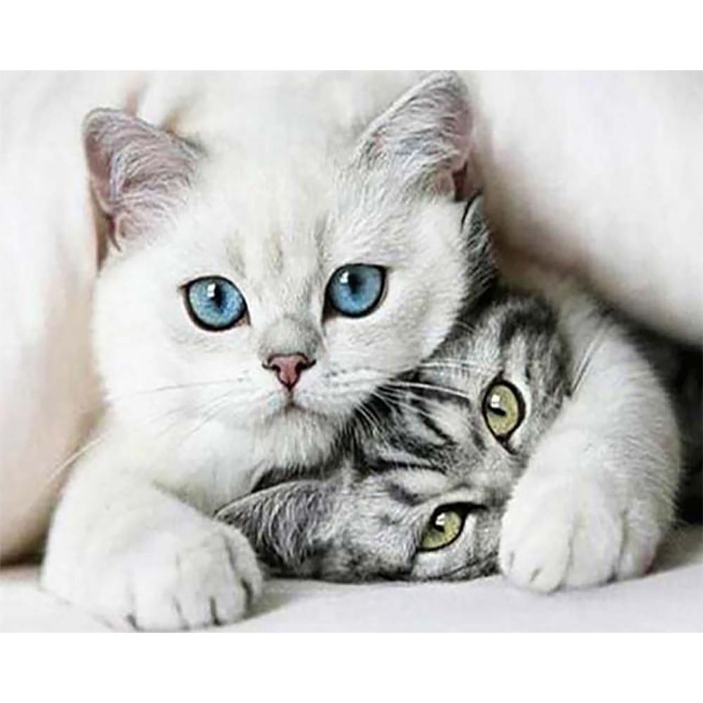 Diamond Painting - Friends Cats