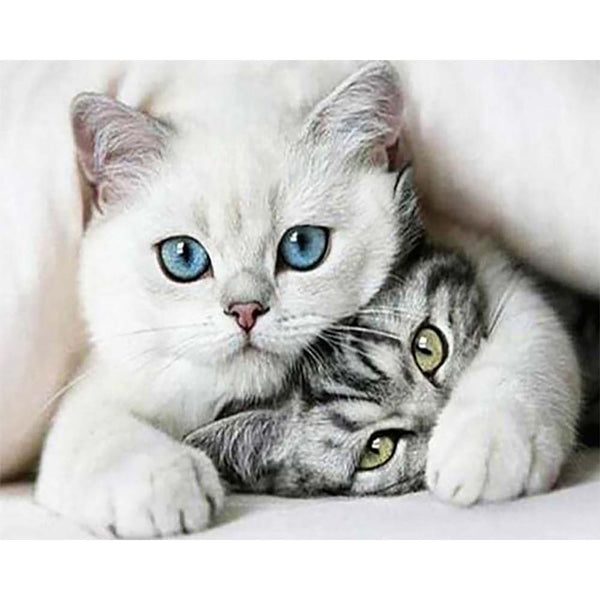 Diamond Painting - Friends Cats