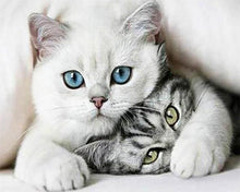 Load image into Gallery viewer, Diamond Painting | Diamond Painting - Friends Cats | animals cats Diamond Painting Animals | FiguredArt