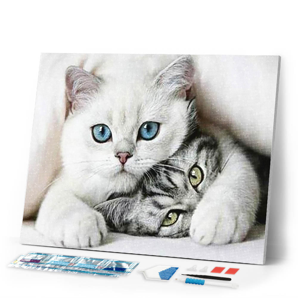 Diamond Painting | Diamond Painting - Friends Cats | animals cats Diamond Painting Animals | FiguredArt