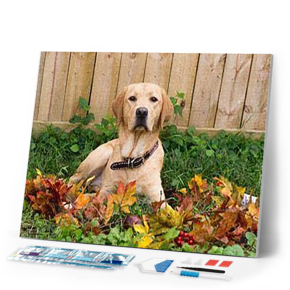 Diamond Painting | Diamond Painting - Labrador | animals Diamond Painting Animals | FiguredArt