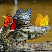 Load image into Gallery viewer, Diamond Painting | Diamond Painting - Crocodile and Butterflies | animals butterflies Diamond Painting Animals | FiguredArt