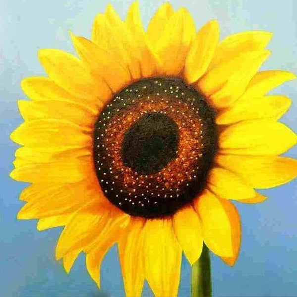 Diamond Painting - Sunflower