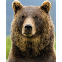 Load image into Gallery viewer, Diamond Painting - Bear