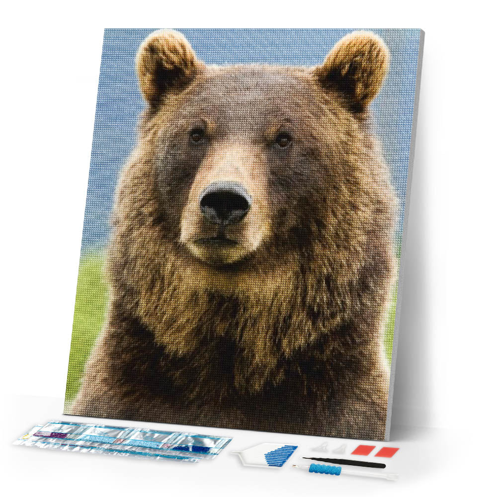 Diamond Painting | Diamond Painting - Bear | animals bear Diamond Painting Animals | FiguredArt