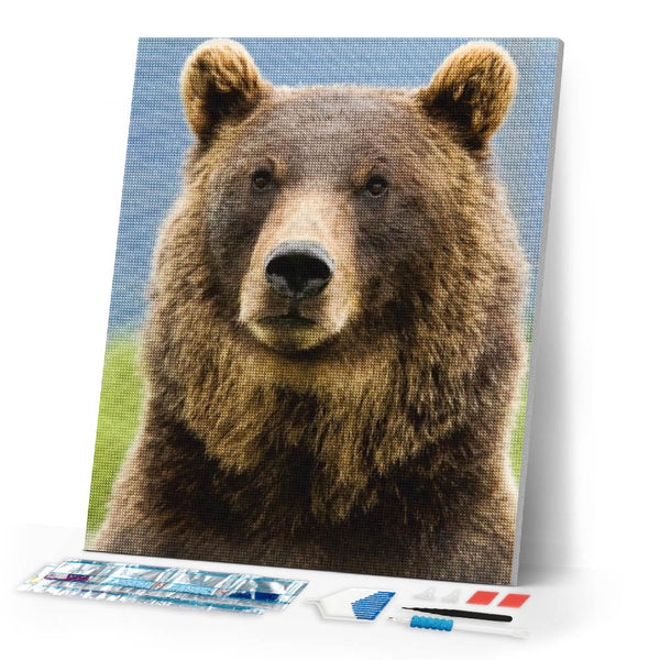 Diamond Painting | Diamond Painting - Bear | animals bear Diamond Painting Animals | FiguredArt