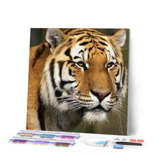 Load image into Gallery viewer, Diamond Painting - Tiger