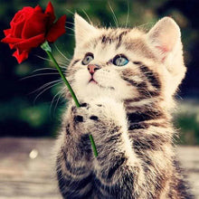 Load image into Gallery viewer, Diamond Painting | Diamond Painting - Cat with Rose | animals cats Diamond Painting Animals Diamond Painting Flowers flowers | FiguredArt