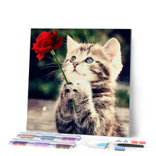 Load image into Gallery viewer, Diamond Painting - Cat with Rose