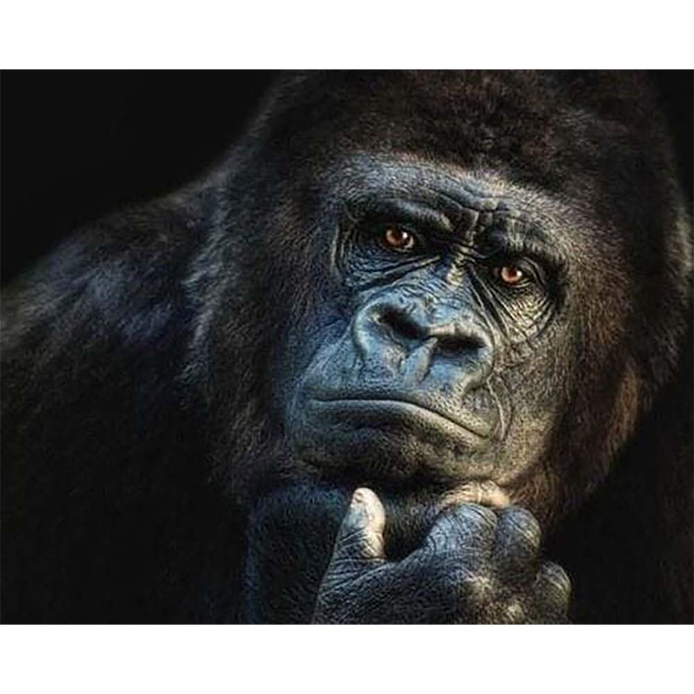 Diamond Painting - Gorilla