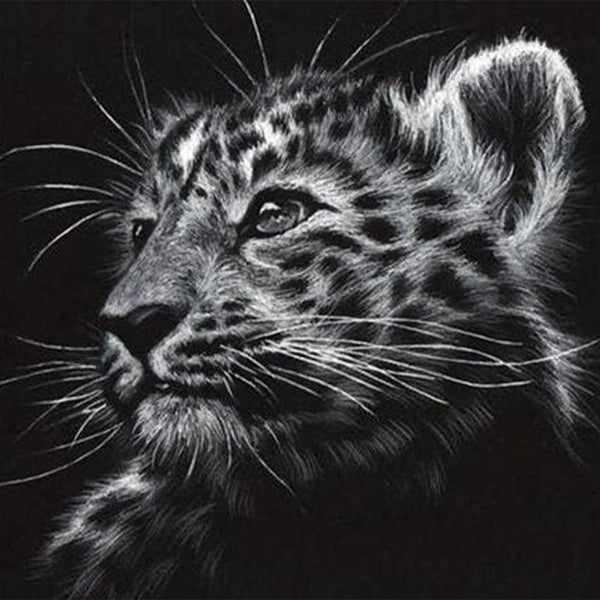 Diamond Painting - Black and white Leopard