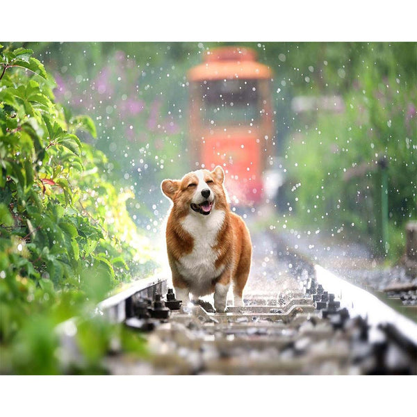 Diamond Painting - Dog on rails